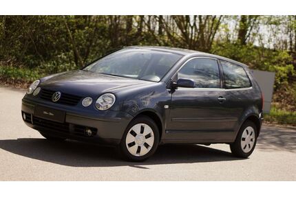 VW Polo Gebrauchtwagen