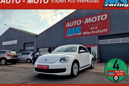 VW Beetle Gebrauchtwagen