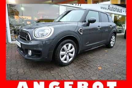 Opel Cooper S Countryman All4 Aut Pano Navi Leder LED 