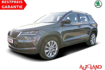 Skoda Karoq Gebrauchtwagen