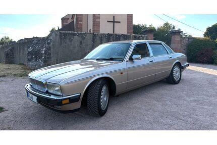 Jaguar XJ40 Gebrauchtwagen