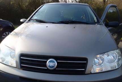 Fiat Punto Gebrauchtwagen