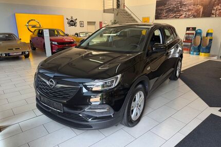 Opel Grandland (X) Gebrauchtwagen