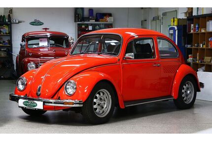 VW Käfer Gebrauchtwagen