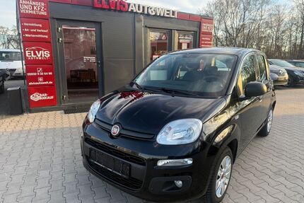 Fiat Panda Gebrauchtwagen