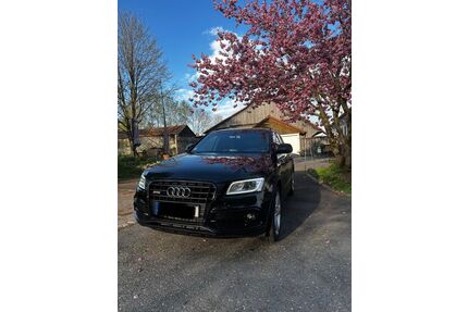 Audi SQ5 Gebrauchtwagen