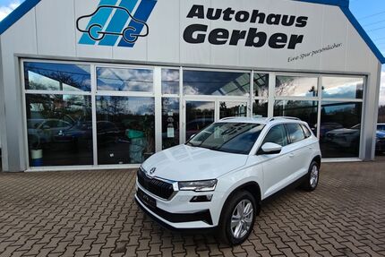 Skoda Karoq Gebrauchtwagen