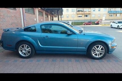 Ford Mustang Gebrauchtwagen