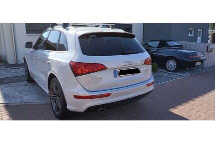 Audi Q5 Gebrauchtwagen