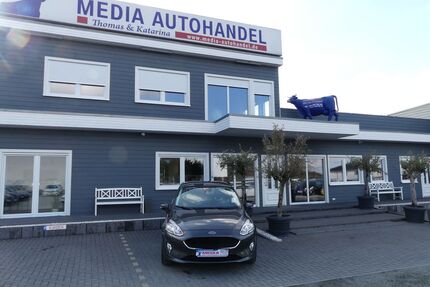 Ford Fiesta Gebrauchtwagen