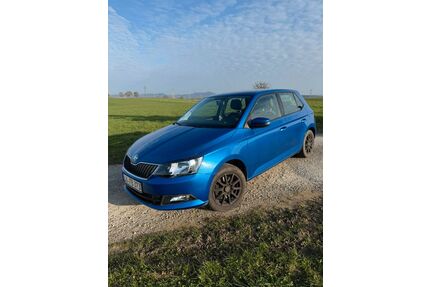 Skoda Fabia Gebrauchtwagen
