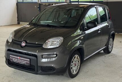 Fiat Panda Gebrauchtwagen