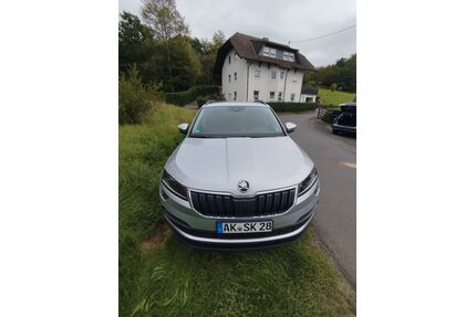 Skoda Karoq Gebrauchtwagen