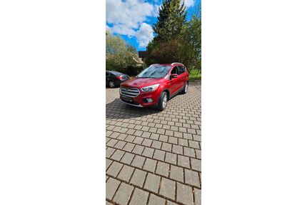 Ford Kuga Gebrauchtwagen