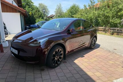 Tesla Model Y Gebrauchtwagen