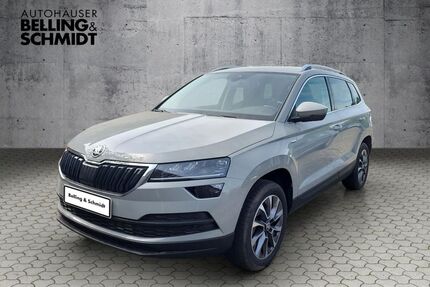 Skoda Karoq Gebrauchtwagen