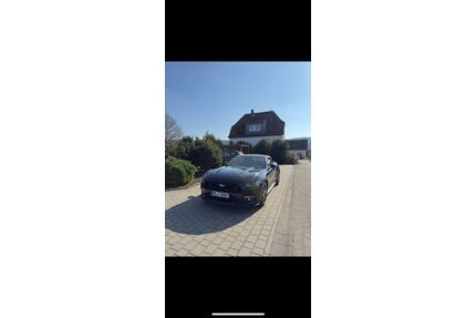 Ford Mustang Gebrauchtwagen