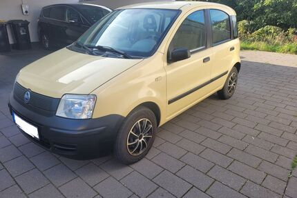 Fiat Panda Gebrauchtwagen