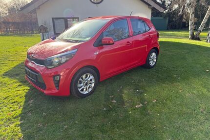 Kia Picanto Gebrauchtwagen