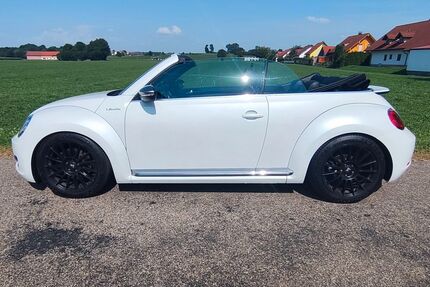 VW Beetle Gebrauchtwagen