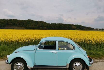 VW Käfer Gebrauchtwagen