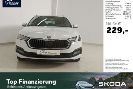 Skoda Octavia Gebrauchtwagen