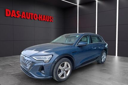 Audi Q8 e-tron Gebrauchtwagen