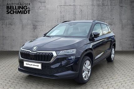 Skoda Karoq Gebrauchtwagen