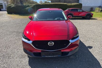 Mazda CX-30 Gebrauchtwagen
