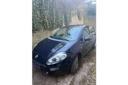 Fiat Punto Gebrauchtwagen