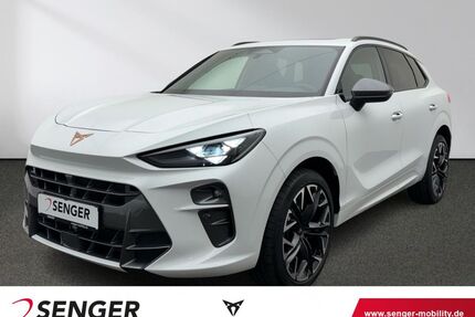 Cupra Terramar Gebrauchtwagen