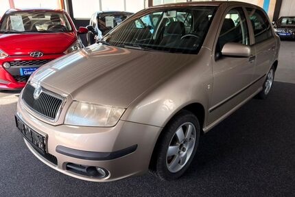 Skoda Fabia Gebrauchtwagen