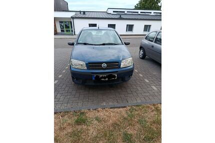 Fiat Punto Gebrauchtwagen