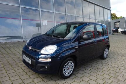 Fiat Panda Gebrauchtwagen