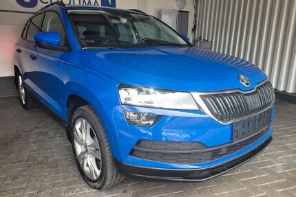 Skoda Karoq Gebrauchtwagen