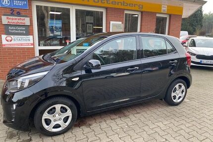 Kia Picanto Gebrauchtwagen