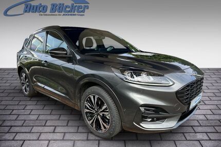 Alpina Kuga 