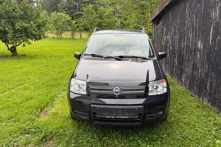 Fiat Panda Gebrauchtwagen