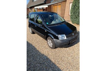 Fiat Panda Gebrauchtwagen