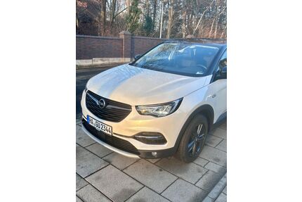 Opel Grandland (X) Gebrauchtwagen