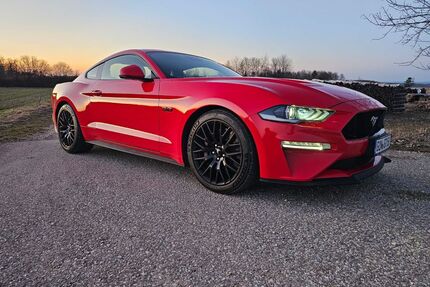 Ford Mustang Gebrauchtwagen