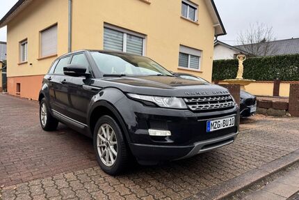 Land Rover Range Rover Evoque Gebrauchtwagen
