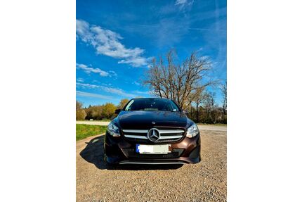 Mercedes-Benz B 220 Gebrauchtwagen