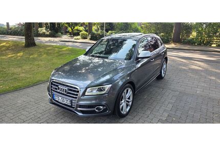 Audi SQ5 Gebrauchtwagen