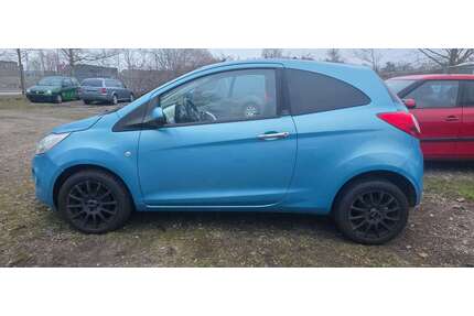 Ford Ka/Ka+ Gebrauchtwagen