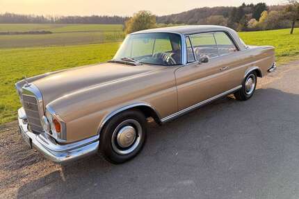 Mercedes-Benz 250 Gebrauchtwagen