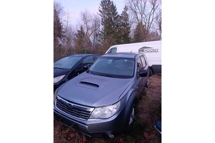 Subaru Forester Gebrauchtwagen