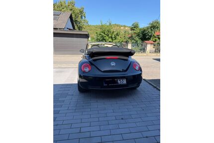 VW Beetle Gebrauchtwagen