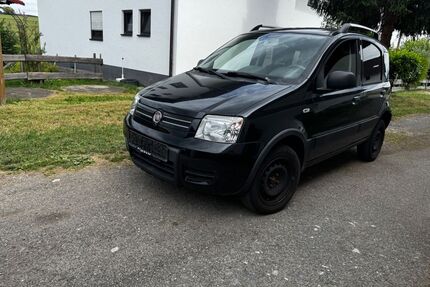 Fiat Panda Gebrauchtwagen