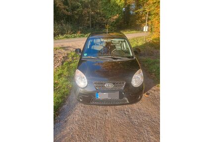 Kia Picanto Gebrauchtwagen